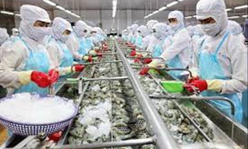 Đánh giá rủi ro an toàn và sức khỏe nghề nghiệp tại cơ sở chế biến thủy sản khu vực miền Trung